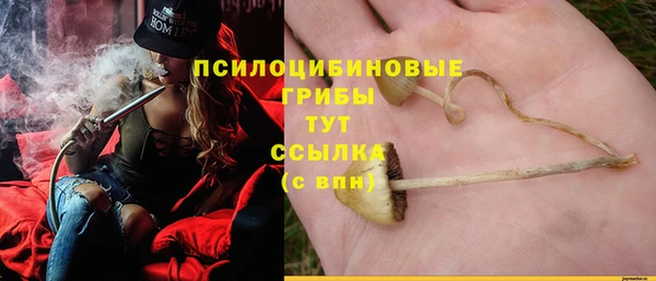 метадон Лиски