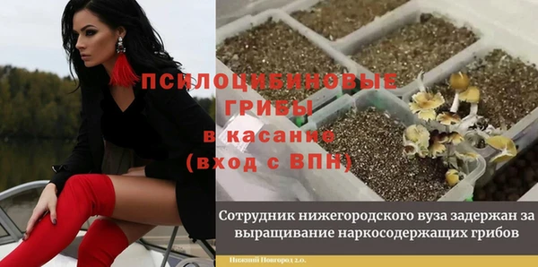 мяу мяу кристалл Магас